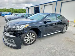 5NPE34AF5HH554933 2017 HYUNDAI SONATA