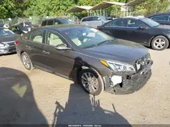 5NPE34AF5HH567262 2017 HYUNDAI SONATA