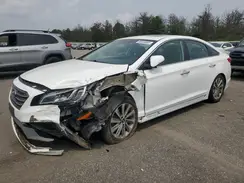 5NPE34AF5HH569688 2017 HYUNDAI SONATA