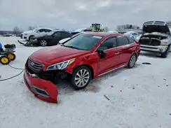 5NPE34AF5HH576303 2017 HYUNDAI SONATA