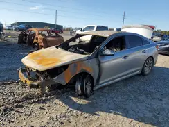 5NPE34AF5HH591559 2017 HYUNDAI SONATA