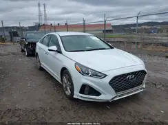 5NPE34AF5KH734906 2019 HYUNDAI SONATA