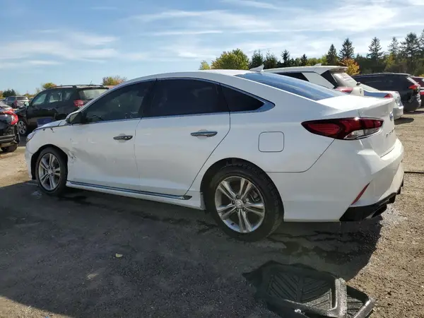 5NPE34AF5KH756341 2019 HYUNDAI SONATA - Image 2
