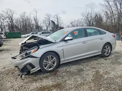 5NPE34AF5KH765928 2019 HYUNDAI SONATA