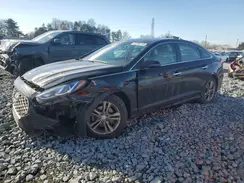 5NPE34AF5KH769929 2019 HYUNDAI SONATA