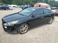 5NPE34AF5KH783216 2019 HYUNDAI SONATA