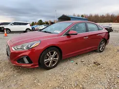 5NPE34AF5KH783555 2019 HYUNDAI SONATA