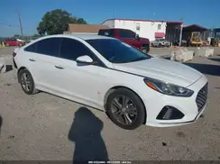 5NPE34AF5KH787976 2019 HYUNDAI SONATA