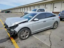 5NPE34AF5KH791915 2019 HYUNDAI SONATA