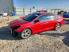 5NPE34AF5KH793776 2019 HYUNDAI SONATA