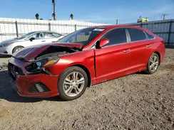 5NPE34AF5KH800368 2019 HYUNDAI SONATA