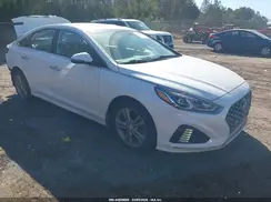 5NPE34AF5KH800435 2019 HYUNDAI SONATA