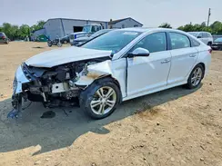 5NPE34AF5KH803660 2019 HYUNDAI SONATA
