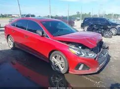 5NPE34AF5KH808227 2019 HYUNDAI SONATA