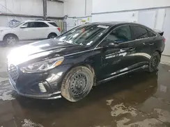 5NPE34AF5KH810897 2019 HYUNDAI SONATA
