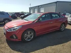 5NPE34AF5KH812813 2019 HYUNDAI SONATA
