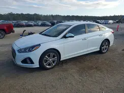 5NPE34AF5KH819793 2019 HYUNDAI SONATA