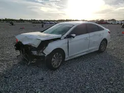 5NPE34AF6GH264103 2016 HYUNDAI SONATA