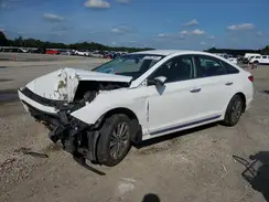 5NPE34AF6GH311243 2016 HYUNDAI SONATA