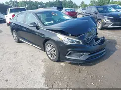 5NPE34AF6GH338166 2016 HYUNDAI SONATA