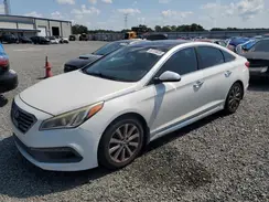 5NPE34AF6GH343190 2016 HYUNDAI SONATA