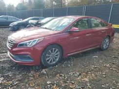 5NPE34AF6GH349667 2016 HYUNDAI SONATA