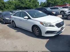 5NPE34AF6GH354979 2016 HYUNDAI SONATA