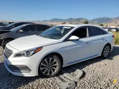 5NPE34AF6GH355341 2016 HYUNDAI SONATA