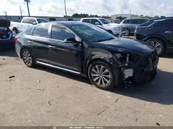 5NPE34AF6GH362208 2016 HYUNDAI SONATA
