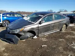 5NPE34AF6GH435299 2016 HYUNDAI SONATA