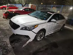 5NPE34AF6H045057 2017 HYUNDAI SONATA