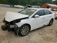 5NPE34AF6HH439936 2017 HYUNDAI SONATA