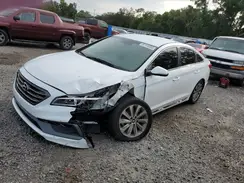 5NPE34AF6HH461287 2017 HYUNDAI SONATA