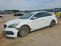 5NPE34AF6HH461290 2017 HYUNDAI SONATA