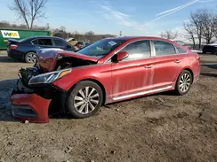 5NPE34AF6HH469065 2017 HYUNDAI SONATA