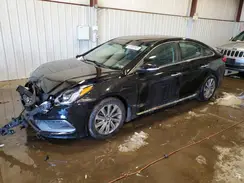 5NPE34AF6HH478509 2017 HYUNDAI SONATA