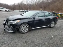 5NPE34AF6HH484391 2017 HYUNDAI SONATA