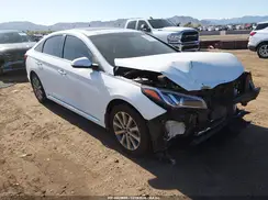 5NPE34AF6HH496900 2017 HYUNDAI SONATA