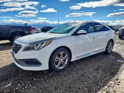 5NPE34AF6HH500881 2017 HYUNDAI SONATA