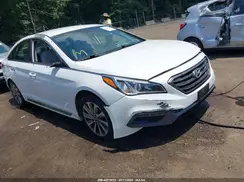 5NPE34AF6HH503084 2017 HYUNDAI SONATA