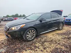 5NPE34AF6HH529281 2017 HYUNDAI SONATA