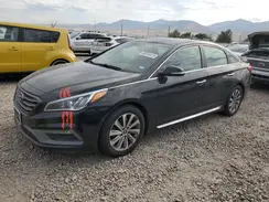 5NPE34AF6HH536649 2017 HYUNDAI SONATA