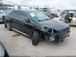 5NPE34AF6HH540037 2017 HYUNDAI SONATA