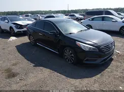 5NPE34AF6HH552852 2017 HYUNDAI SONATA