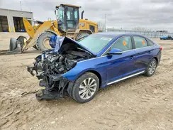5NPE34AF6HH555007 2017 HYUNDAI SONATA