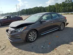 5NPE34AF6HH562667 2017 HYUNDAI SONATA