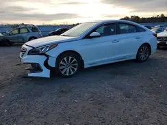 5NPE34AF6HH569201 2017 HYUNDAI SONATA