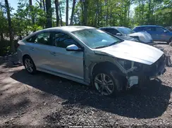 5NPE34AF6JH624610 2018 HYUNDAI SONATA