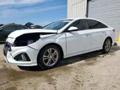 5NPE34AF6KH733229 2019 HYUNDAI SONATA