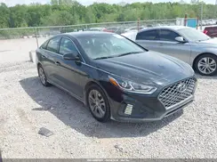 5NPE34AF6KH750158 2019 HYUNDAI SONATA